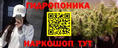 ECSTASY Моздок