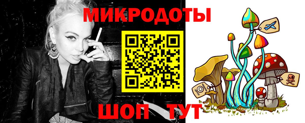 Псилоцибиновые грибы мицелий  Вход с VPN  купить  цена  Сланцы 