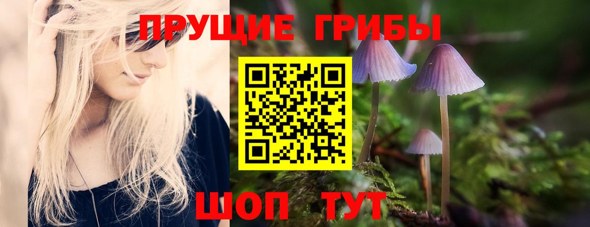 Псилоцибиновые грибы ЛСД Сланцы